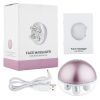 EMS Slimming Face Massagers Machine Facial Lift Devices Microcurrent Skin Rejuvenation Anti Aging Wrinkle Beauty Apparatus - Pink